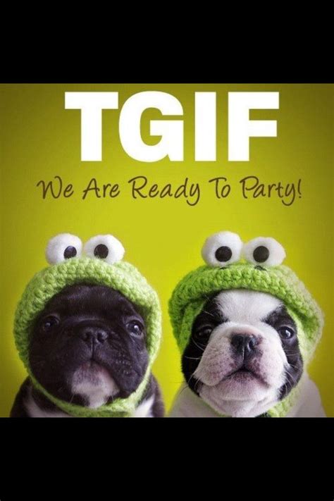 tgif meaning funny.